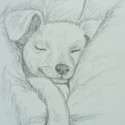 A soft pencil sketch of a sleeping puppy. This was an exercise in capturing soft textures like fur and conveying a sense of peace and tranquility through simple shading.