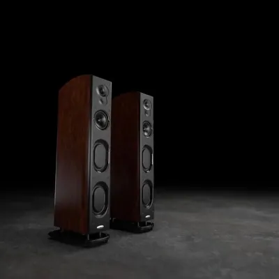 This is a pair of high-performance floor-standing tower speakers. With multiple drivers for bass, midrange, and treble, they deliver a full-range, dynamic soundstage that is ideal for both critical music listening and powerful home cinema.