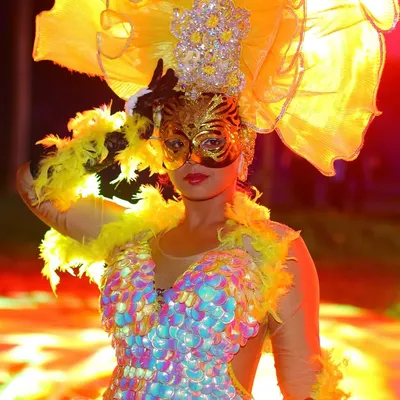 Attention to detail is key for our themed events. This photo showcases one of our professional dancers in a stunning, handcrafted costume for a Rio Carnival-themed wedding performance, complete with a feather headdress and sparkling mask.