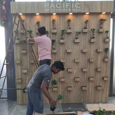 Our team carefully installs each Ginseng Ficus Bonsai onto the custom-built vertical display wall. This process requires precision and an artistic eye to ensure every plant is perfectly positioned.
