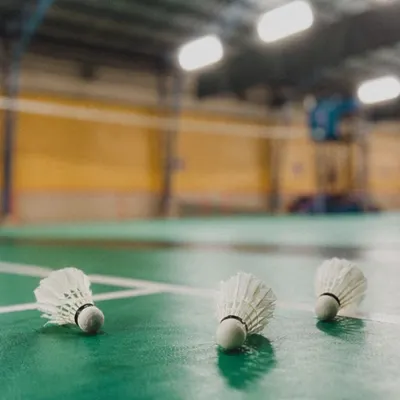 The calm before the storm. Shuttlecocks lined up and ready for the next intense match.