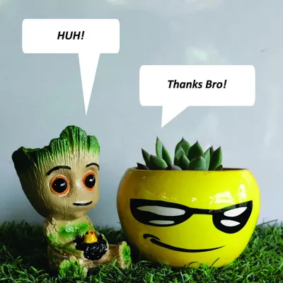 I love creating playful arrangements that bring a smile. This scene shows my popular Groot planter having a "conversation" with a cool emoji-faced pot holding a succulent, perfect for a fun and unique gift.