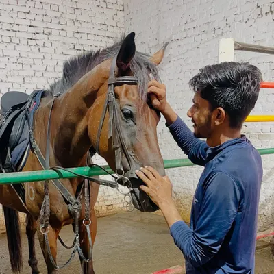 At the heart of our academy is the quiet connection between a rider and their horse. We believe this bond is the foundation for building confidence and finding inner peace.