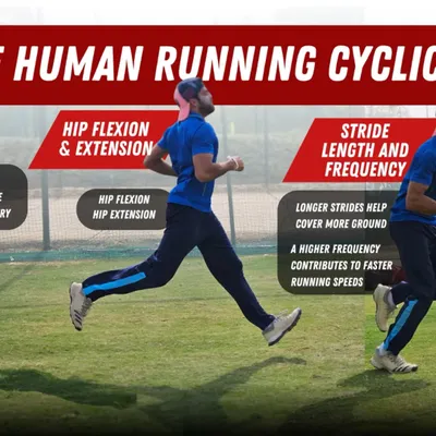 Understanding the mechanics of running is key to improving your speed. We break down the human running cycle, focusing on hip flexion and extension, as well as stride length and frequency.