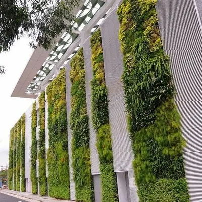 This is an example of a large-scale exterior installation on a modern office building. The vertical gardens are integrated into the facade design, creating a landmark green building.