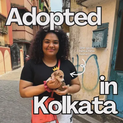 A new beginning in Kolkata. This participant fell in love and gave this tiny puppy a forever home after meeting him at one of our events. This is the impact we strive for.