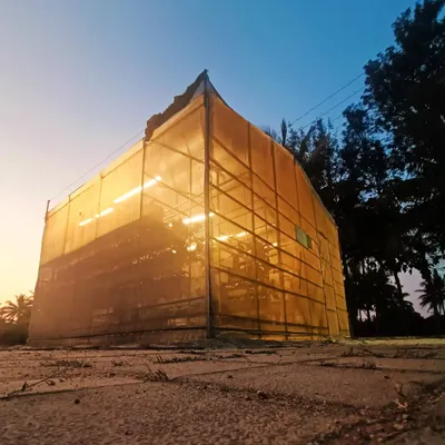 One of my hydroponic pods at sunset. This self-contained greenhouse creates the perfect micro-environment for your plants to flourish, protecting them from pests and harsh weather.