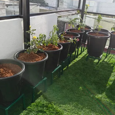 A newly installed garden on a terrace, featuring lush artificial turf that provides a soft, green base for the potted plants. The metal stands elevate the pots, ensuring good drainage and easy cleaning of the turf below.