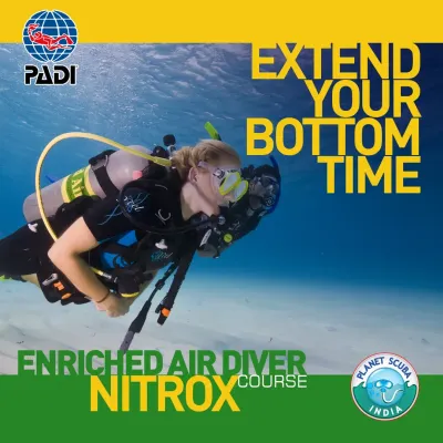 Want to extend your bottom time and get more out of every dive? Our PADI Enriched Air Diver (Nitrox) course is the answer. We teach you how to safely use air with a higher oxygen content, which means you absorb less nitrogen and can enjoy longer underwater explorations.