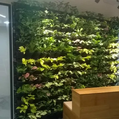 A lush vertical garden installed in an office reception area, bringing a vibrant wall of green indoors. This is an excellent way to improve air quality and add a natural design element to commercial spaces.