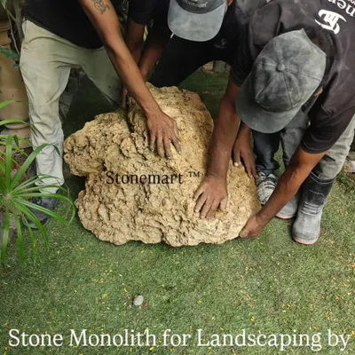 Our team carefully handles a huge monolith lava rock, showcasing the effort and manpower required to place these natural giants. This piece is destined to become a stunning hardscape feature.
