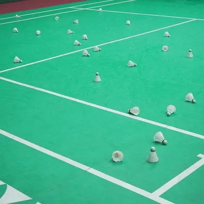 The court after an intense session, covered in shuttlecocks. This is the sign of hard work, dedication, and hundreds of shots practiced to perfection.