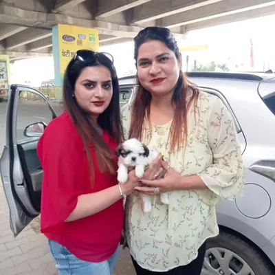 Another happy client with her new tri-color Shih Tzu puppy. We handled the delivery safely, and the pup settled into its new home right away.