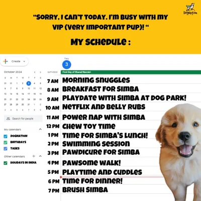 This schedule is relatable for any dedicated dog parent. Our lives truly revolve around our Very Important Pups, from morning snuggles and playdates to pawdicures and bedtime brushing.