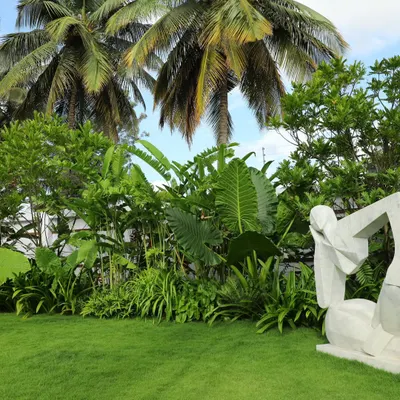 A wide view of a tropical garden featuring tall palm trees and dense underplanting with large-leaf foliage, creating a layered, jungle-like effect next to a clean lawn.