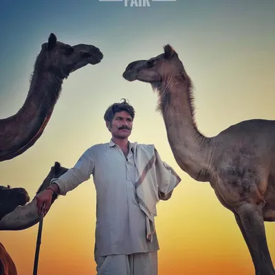 A classic portrait from the Pushkar Fair, with a camel herder standing proudly between his animals against the sunset. This is the kind of iconic, story-rich image I aim to create.