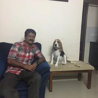 A trained dog makes for a happy family. This Beagle is sitting calmly next to his owner, showing the peaceful result of our in-home behavior training sessions.