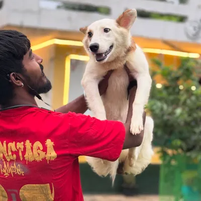 Life is lighter when you carry love. I make sure every dog gets plenty of one-on-one affection and cuddles during their stay.