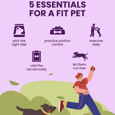 To celebrate Canine Fitness Month, here are 5 essentials for a fit pet. It starts with picking the right diet, practicing portion control, daily exercise, annual vet visits, and letting them run free.
