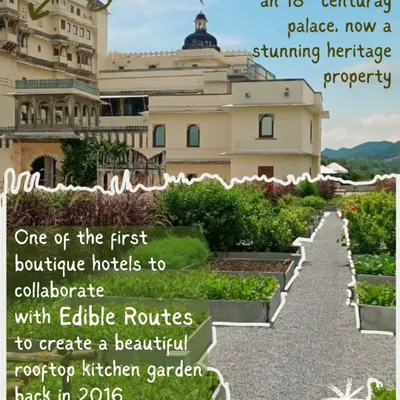 Back in 2016, we collaborated with the stunning RAAS Devigarh heritage property to create this beautiful rooftop kitchen garden. This project shows our long-standing expertise in large-scale, high-end urban farm design.