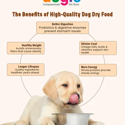 The benefits of high-quality dry food are huge. It promotes better digestion, helps maintain a healthy weight, contributes to a shinier coat, and provides more energy. Good food truly means a better life for your pup.