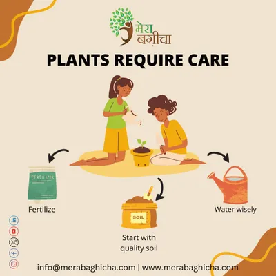 Taking care of your plants, especially in the summer heat, is very important. This guide provides tips on watering, mulching, providing shade, and using fertilizer to keep your plants healthy and safe.