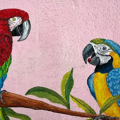 A detail shot from a tropical bird mural I painted. I use high-quality acrylics to ensure the colors are bright and the artwork lasts for years.