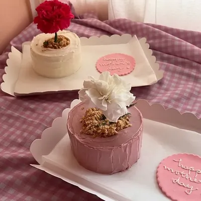 My flower pot bento cakes for Mother's Day. They come with a cookie that says "Happy Mother's Day" and a fresh carnation to complete the look.