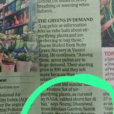 A close-up of my quote in the Hindustan Times article. I talked about how I've curated a special list of NASA-approved air-purifying plants to help Delhi residents breathe cleaner air.