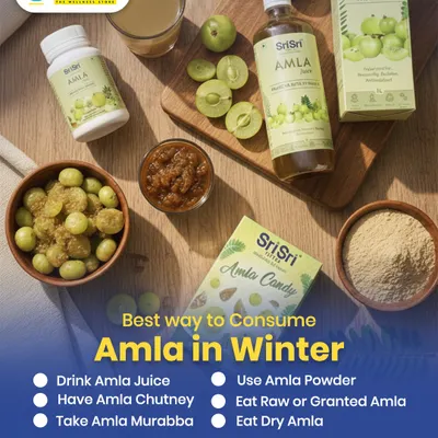 Amla is a winter superfruit, and here are the best ways to enjoy it. This flat lay shows different forms like juice, powder, and candy from Sri Sri Tattva, making it easy to get your daily dose of Vitamin C and boost immunity.