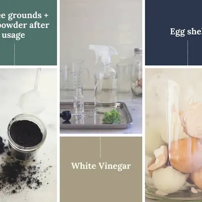 An informative guide on using common kitchen waste to create natural fertilizers for your garden. Items like used coffee grounds, tea powder, and eggshells can significantly improve your soil's health, porosity, and overall quality.