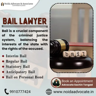 An overview of my bail lawyer services, which include Interim Bail, Regular Bail, Statutory Bail, Anticipatory Bail, and Bail on Personal Bond.