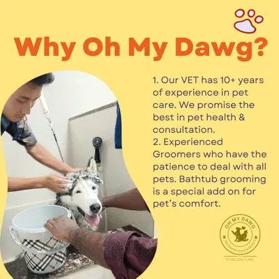 Why choose Oh My Dawg? Because my vet has over 10 years of experience, and my groomers have the patience to make every pet feel comfortable. My unique bathtub grooming is just one way I prioritize your pet's comfort.