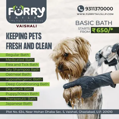 Our Basic Bath service is perfect for keeping your pet fresh and clean. This package includes a variety of bath types, such as regular, medicated, and hypoallergenic, available at our Vaishali location.