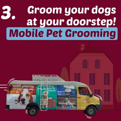 Look for our colorful van in your neighborhood. We're on the move, bringing convenient, doorstep grooming services for both dogs and cats across the city.