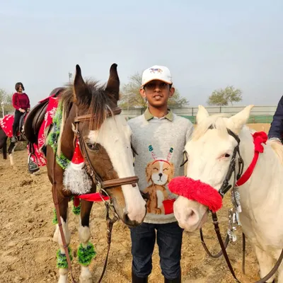Merry Christmas from our club. A rider poses with two of our horses, all dressed up for the festive season.