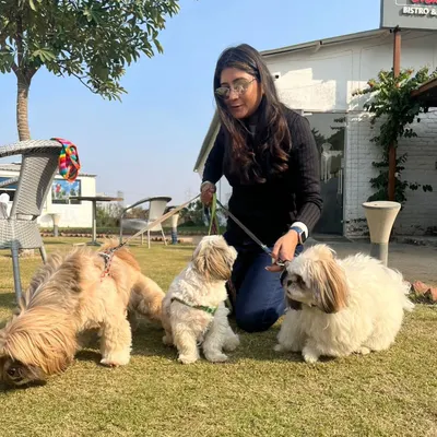 I treat your pet buddies as our special guests. Here we are celebrating a dog's first birthday with his furry family on our sunny lawn.