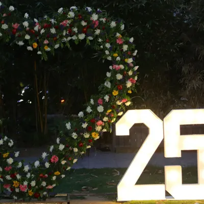 Celebrating a silver jubilee! I created this large, heart-shaped floral arch and provided light-up "25" marquee numbers for a beautiful 25th-anniversary party backdrop.