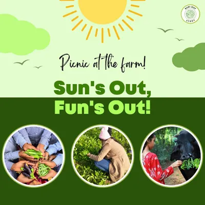 Our family picnics are designed for pure fun and relaxation. Enjoy a day filled with sunshine, games, fresh food, and activities like feeding our friendly farm animals. It's a wonderful escape for all ages.
