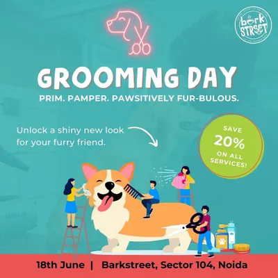 We regularly host Grooming Days to make our services accessible to everyone. On these special days, we offer great discounts on all our grooming packages, from baths to stylish haircuts.