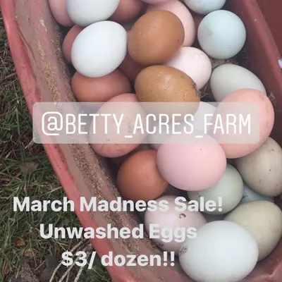 When we have more eggs than we can wash, we offer them as unwashed eggs at a discount. This "March Madness" sale was a big hit.