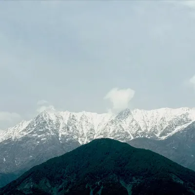 The majestic, snow-capped Dhauladhar range as seen from our retreat space. Waking up to this view is a powerful reminder of nature's strength and stillness, an energy that we carry into our practice.