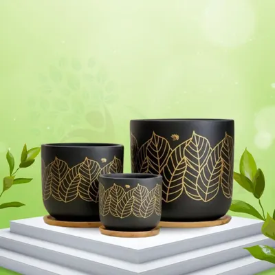 Our Kyna Black Leaf terracotta pots are hand-painted with this elegant golden leaf pattern for a premium, imported look. They come in three sizes and include a wooden tray.