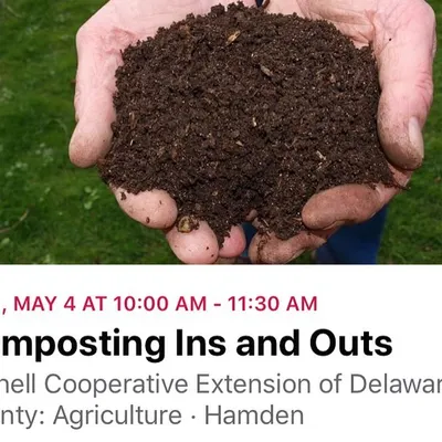 This is what it's all about: turning everyday scraps into rich, nutrient-dense compost, or 'garden gold' as I like to call it. I teach the ins and outs of this process in my live workshops, giving you the practical skills to create your own high-quality soil amendment at home.