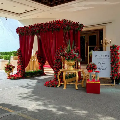 For Ekta and Shreyas's reception, I created a regal entrance with a canopy of red roses and sheer drapes, setting a tone of classic romance from the very first step.