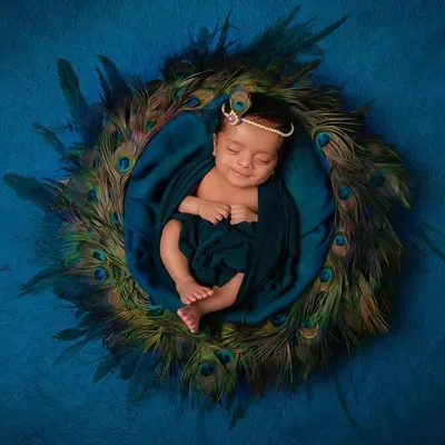 A peaceful portrait of a newborn styled as little Krishna, nestled in a bed of peacock feathers. This top-down shot highlights the full, artistic setup we create in our studio for themed newborn sessions.