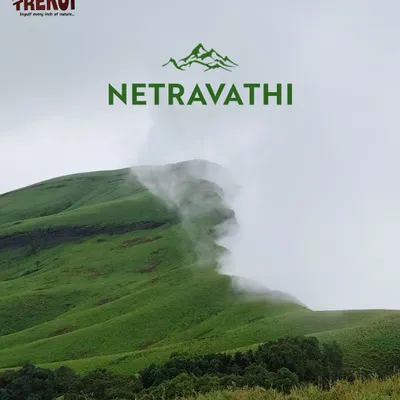 The iconic view of Netravathi peak, where the clouds kiss the green hills. This is one of our most popular weekend treks, offering some of the best panoramic views in the Western Ghats.