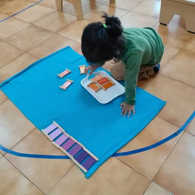 A child works with the color tablets, a classic sensorial material. This activity refines the chromatic sense, helping her to perceive the subtle differences in color shades. It is purposeful work that builds concentration and a keen eye for detail.