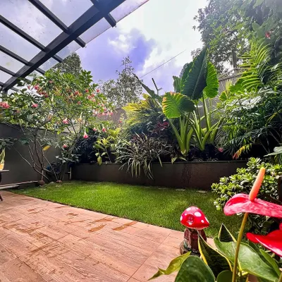 This is what garden goals look like! This backyard has it all: a lush lawn, a wooden deck, and a beautiful mix of tropical plants and flowering trees. It's a space that has been nurtured with love and has grown into a true paradise.