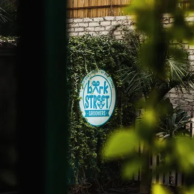 A peek at our welcoming entrance. The lush greenery and our signature "Bark Street Groomers" sign let you know you've arrived at a place made for dog lovers.